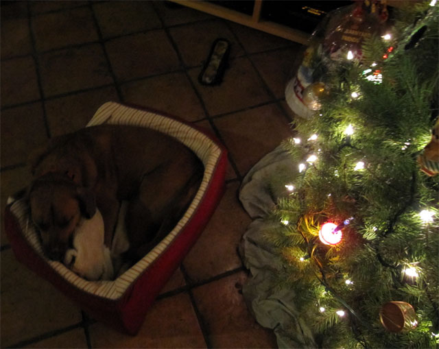 09122308.jpg