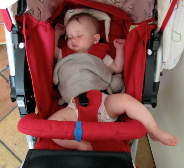 100831_IMG_1700.jpg