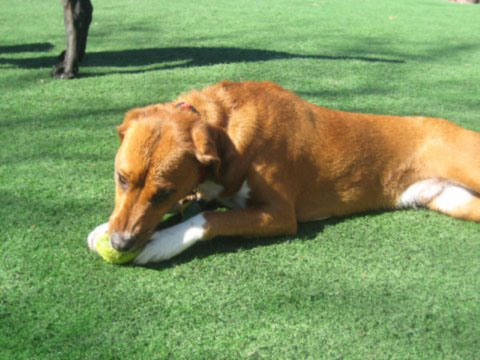 Eddy080227a.jpg - Eddy, February 2008