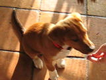 eddy03.jpg - Eddy gets a treat